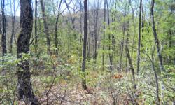 New Property Listing!!
For Sale 2.2 acres
Kerhonkson, NY - Ulster County
Walk to Catskill Forest Preserve!
Reduced to Only $11k!
(fair market value $42k)
This beautiful 2.2 acre parcel in Kerhonkson NY is located near the south end of Catskill Park. Walk