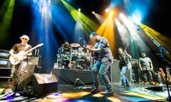 SALE! Dave Matthews Band tickets at Saratoga Performing Arts Center in Saratoga Springs, NY for Saturday 7/16/2016 concert.
To secure your Dave Matthews Band concert tickets, please enter discount code SALE5. You will get 5% OFF for the Dave Matthews Band