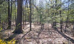 For Sale .9 acres
Kerhonkson, NY - Ulster County
Well & Septic Installed! (BOH approval required)
Walk to Minnewaska State Park!
Only $13.9k
This picturesque .9 acre parcel in Kerhonkson NY is walking distance from Minnewaska State Park. Level, moderately