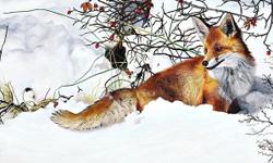 Winter's Red Beauty | Artist Tami Elise
Winter's Red Beauty | Artist Tami Elise
Â© Copyright 2011 - all images and content are the properties of their respective owners.
"An acquaintance of mine had a photo series of adorable red foxes, playing around in