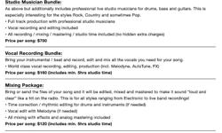 http://www.secret-sounds.com
Tag words: Studio Musician Bundle: As above but additionally includes professional live studio musicians for drums, bass and guitars. This is especially interesting for the styles Rock, Country and sometimes Pop. ? Full track